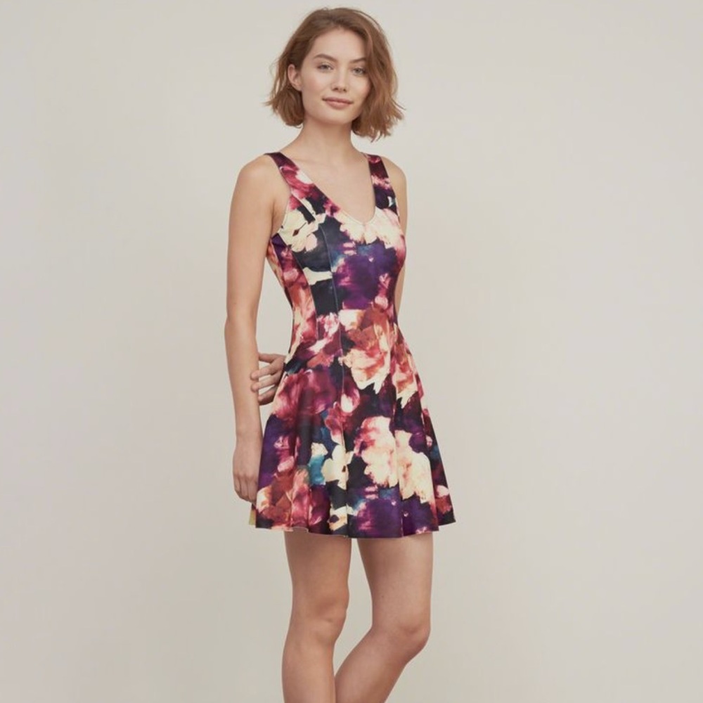 Abercrombie Floral Skater Dress